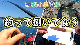 和歌山県南紀の磯で釣ってその場で捌いて食べてみると！！