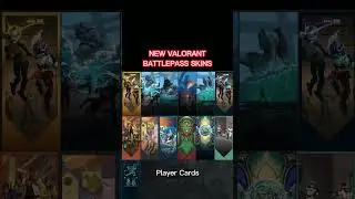 the new valorant battlepass (via @ValorLeaks on Twitter) #valorant #valorantbattlepass #ep5act2