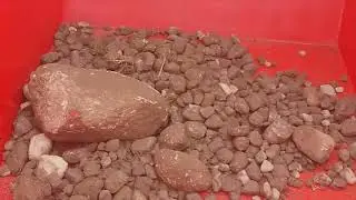 Husarya- maszyna do zbierania kamieni
