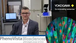 Co-Innovating through High-Content Imaging: PhenoVista and Yokogawa