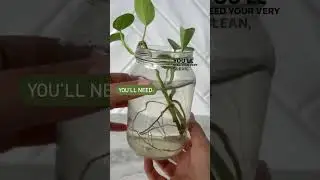 How to clean and reuse your candle jar 🌱