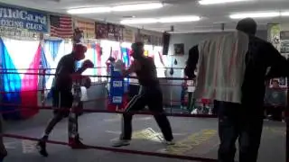 A day at Wildcard Boxing Club