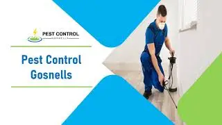 Professional Pest Control Services in Gosnells | Get Pest Free Home | Cockroach Control Services