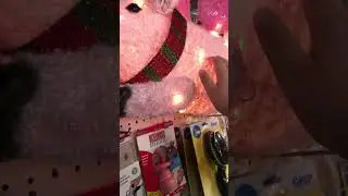 Can pigs fly? Well we just found the first pig to fly!