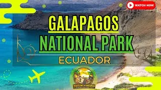 Galapagos National Park - Ecuador - Traveling Kangaroo