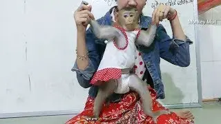 Wow Supper Cute Baby Monkey Mori With New Dresses