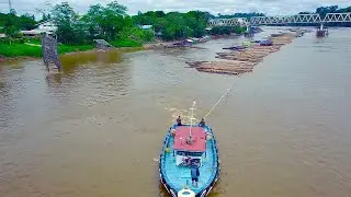 Proses Penarikan Logs Kayu Bulat Menggunakan Tugboat dan Kapal Motor SUNGAI BARITO