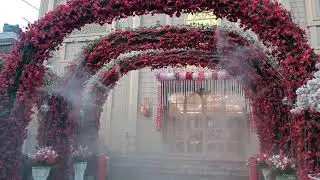 Mist line