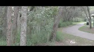 Testing the Cinematic Style FLAT LOG profile  - CANON M50