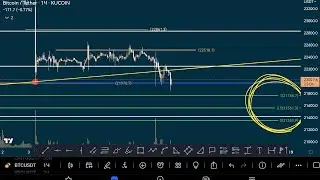 btc 8 марта отработка + запалил уровни