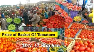 Price Of Basket of Fresh Tomatoes  Pepper 🌶 Bawa & Onions in Mile 12 Market Lagos