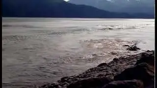 Bore Tide in Turnagain Arm