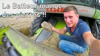 MOISSON DE BL&Eacute; 2021 PARTIE 2 ! Suite et Fin !