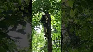 2 Stick Climb with 3 Step Removable Aider