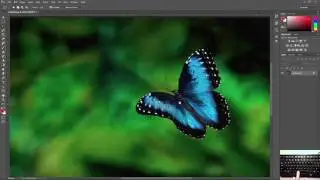 Photoshop - Selections - Rectangular Marquee Tool