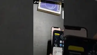 iPhone Daten&uuml;bertragung 📲