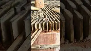 Traditional Craft: Building a Winnowing Fan with Bamboo and Wood