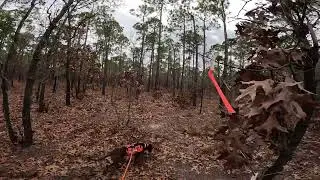 1/10 Red line