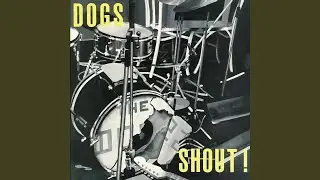 Shout