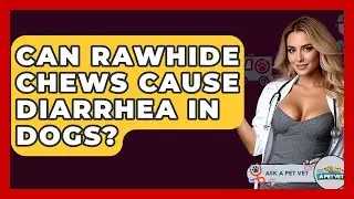 Can Rawhide Chews Cause Diarrhea In Dogs? - Ask A Pet Vet