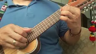 Flor aiquileña - solo charango