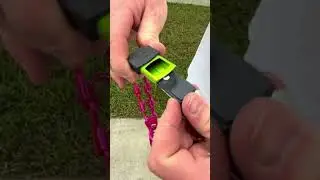 💥Life Changing Prong Collar Hack! #dogtraining #shorts