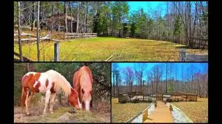 Small Horse Farms For Sale In Virginia - info