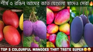 সেরা ৫ রঙিন আমের জাত ২০২৪🥳Top 5 Colorful Mango 2024