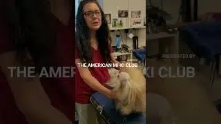 Mi-Ki Minute: Mi-Ki Show Cut Tutorial