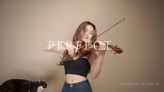 Perfect – Ed Sheeran | Violin Cover 🎻💕 (feat. My Cat 🐾) | Scarlett.C