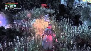 Bloodborne the powers of numbing mist