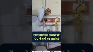 Patient Safety at Risk? Rats Found in Gonda Medical College ICU