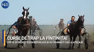 Curse de trap la F&icirc;nt&icirc;nița! Peste 20 de vizitiri din republică și-au &icirc;nhamat caii la atelaje