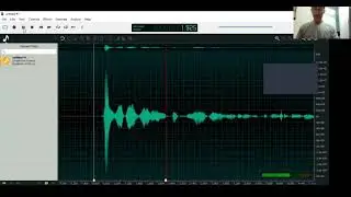 A brief look at Ocenaudio