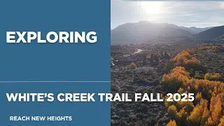 Autumn Gold Over White's Creek | Reno Nevada Drone View