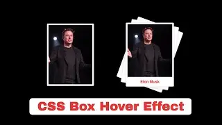 Awesome CSS Box Hover Effect in few lines