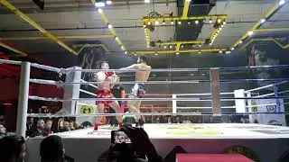 پاڵەوانێتی پرۆفیشناڵی کیک بۆکسینگ لە کودردستان Kurdistan the biggest kickboxing championship.