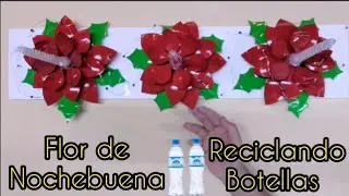 Flor de Nochebuena, reciclando botellas de plástico