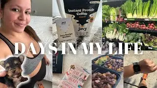 Days In My Life | Workout with me, Trying Javy coffee, Catch up with me + Chatty vlog!
