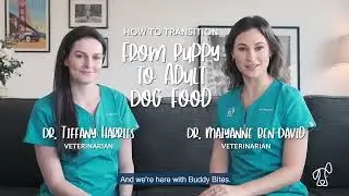 Time of Transition from Puppy to Adult Dog Food // Vet Tips - Buddy Bites Dog x Pets On Tapp