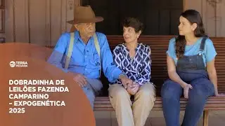 TERRA PECUÁRIA - DOBRADINHA DE LEILÕES  FAZENDA CAMPARINO – EXPOGENÉTICA 2025