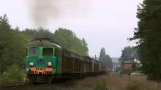 ST43-100 