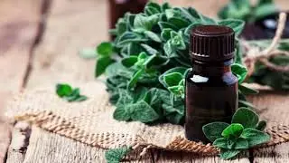 Sweet Marjoram Essential Oil -  Relieves Body Pain, Alleviates Menstrual Symptoms, And So On.