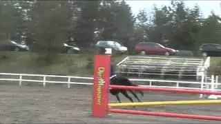 TINA S&Ouml;RLIN OCH NAPOLEON , OMHOPPNING SVELANDS CUP