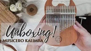 MUSICERO WAREHOUSE KALIMBA UNBOXING & SOUND TEST | See description box below for more infos