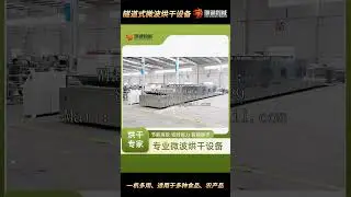 Di Long Manufacturer Microwave Medicinal Drying Equipment (including Oven and Drying Line)