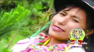 ESTRELLITA DE MAYOBAMBA Y SUS CARVALES DE ORO TEMA:  INGRATO CARNAVAL