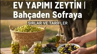 10 Dakikada Ev Yapımı Zeytin Nasıl Hazırlanır? 🫒🌿
