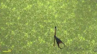 What source thinks will happen if your FOV is 180