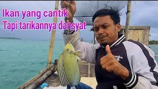 Bagan viral, spot impian, baronang jalunya besar semua Eps. 1 @Ngusepbaronangchannel